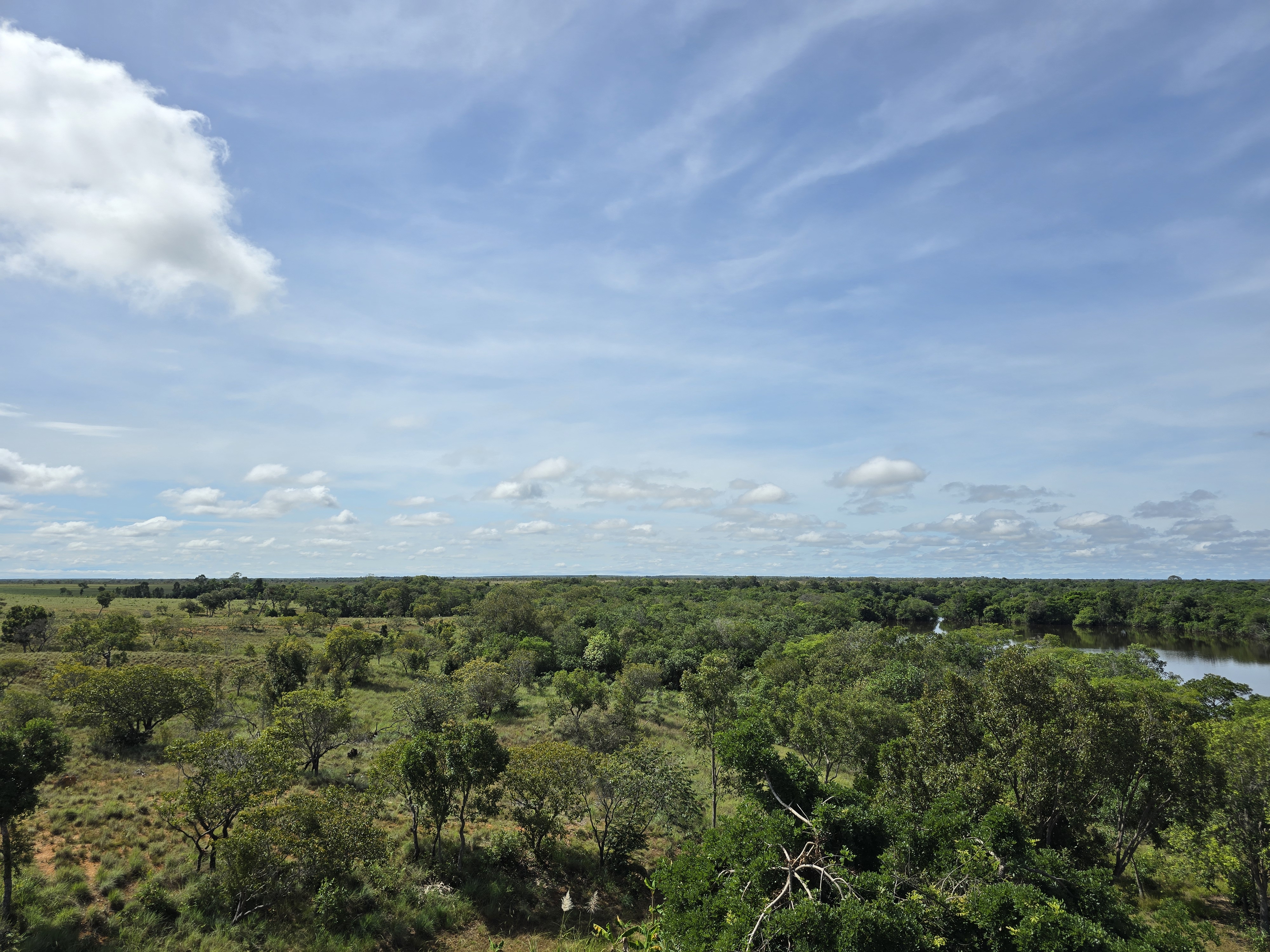 Llanos Orientales landscape