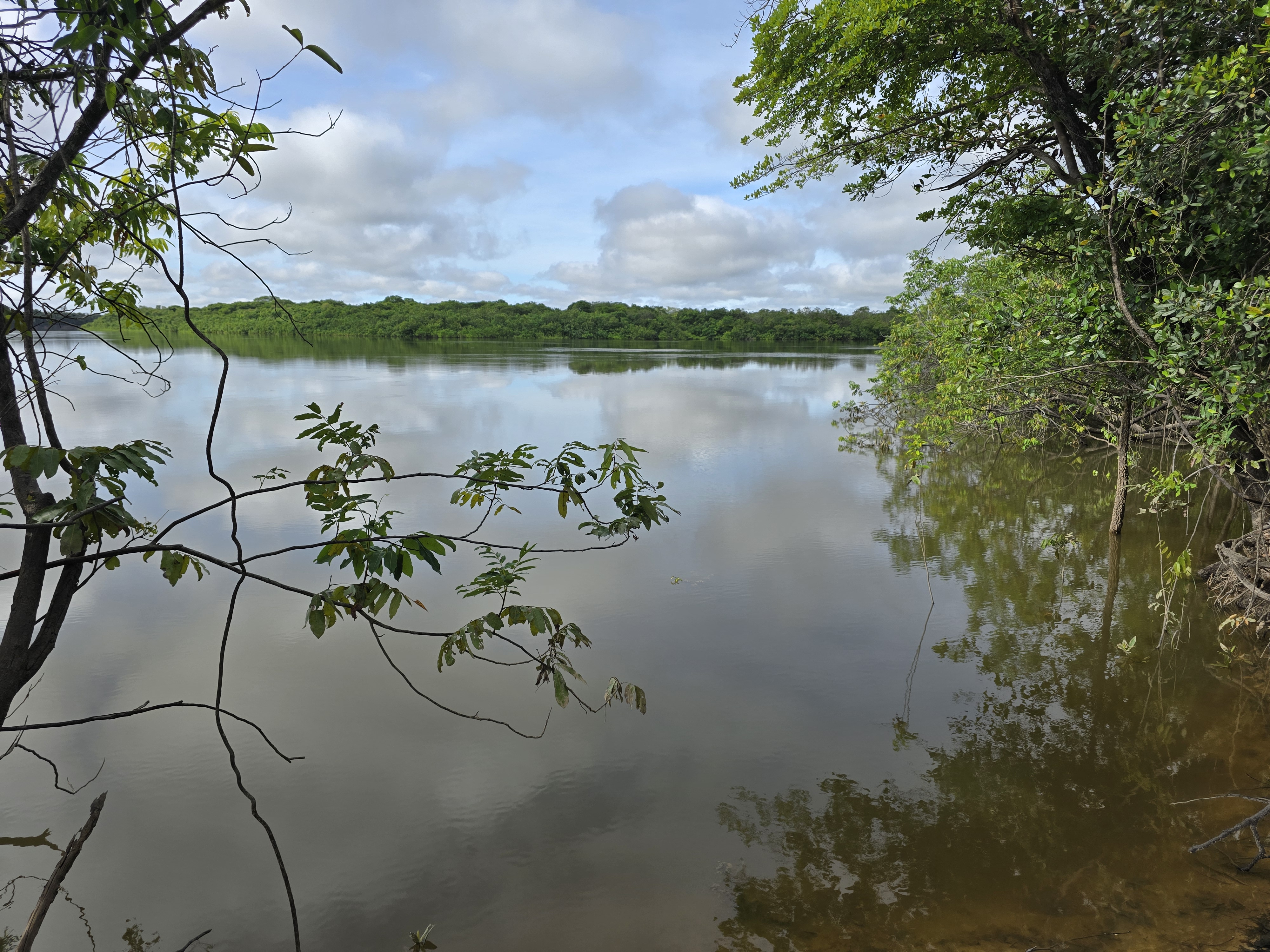 River — Llanos Orientales